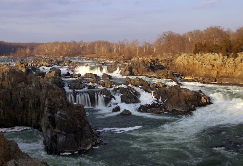 فندق The Westin Washington Dulles Airport