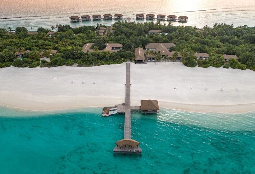 Resort Otel Vignette Collection Noku Maldives, An Ihg