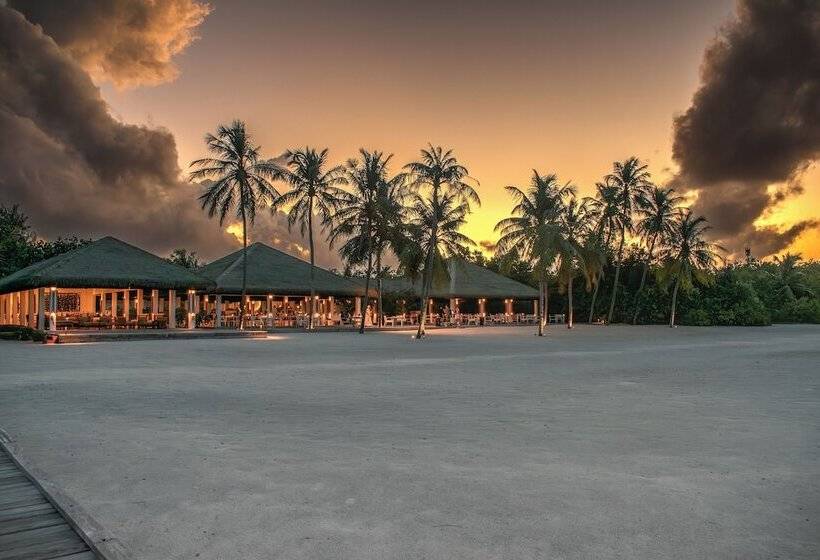 Resort Otel Vignette Collection Noku Maldives, An Ihg