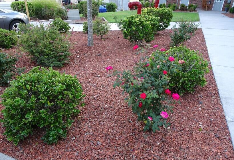 ホテル Affordable Suites Kannapolis