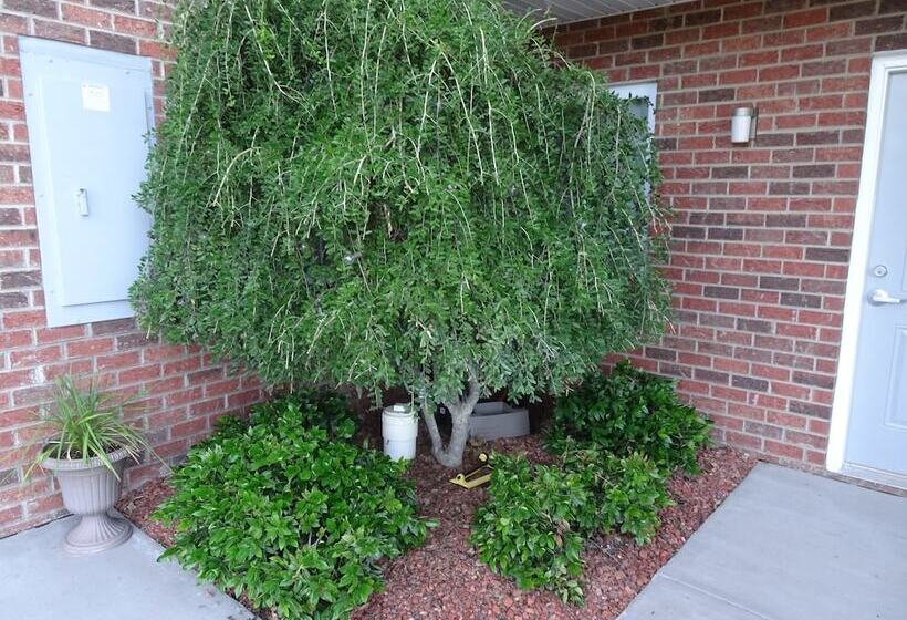 ホテル Affordable Suites Kannapolis