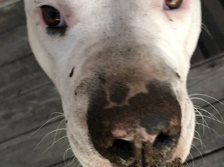 Отель Bayfront Inn