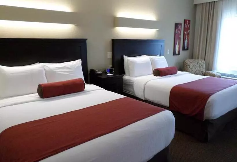 فندق Berlin Grande