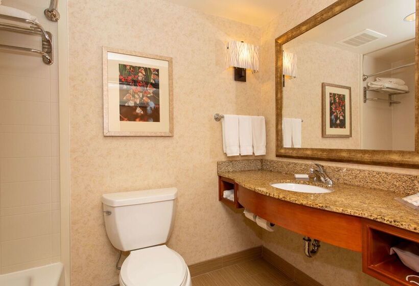 ホテル Hilton Garden Inn Cedar Falls