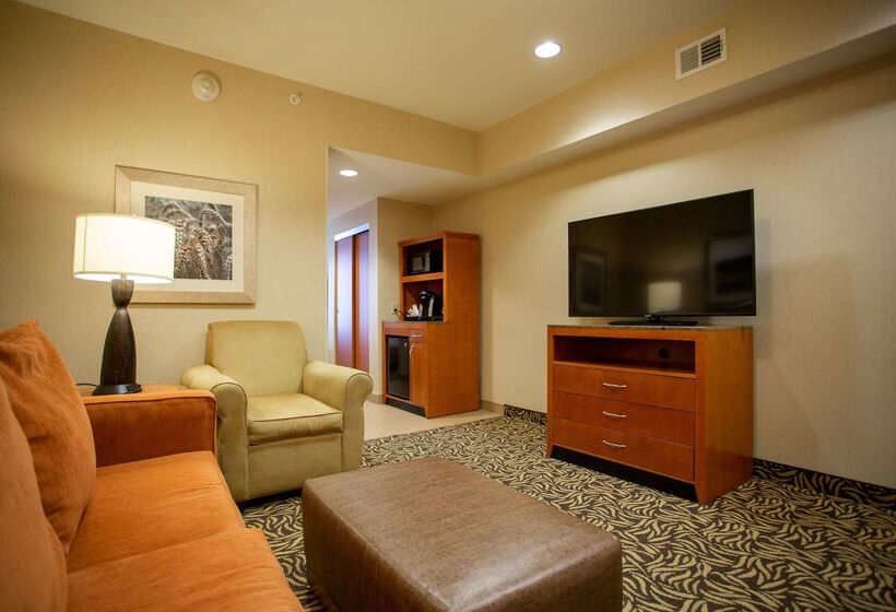 ホテル Hilton Garden Inn Cedar Falls