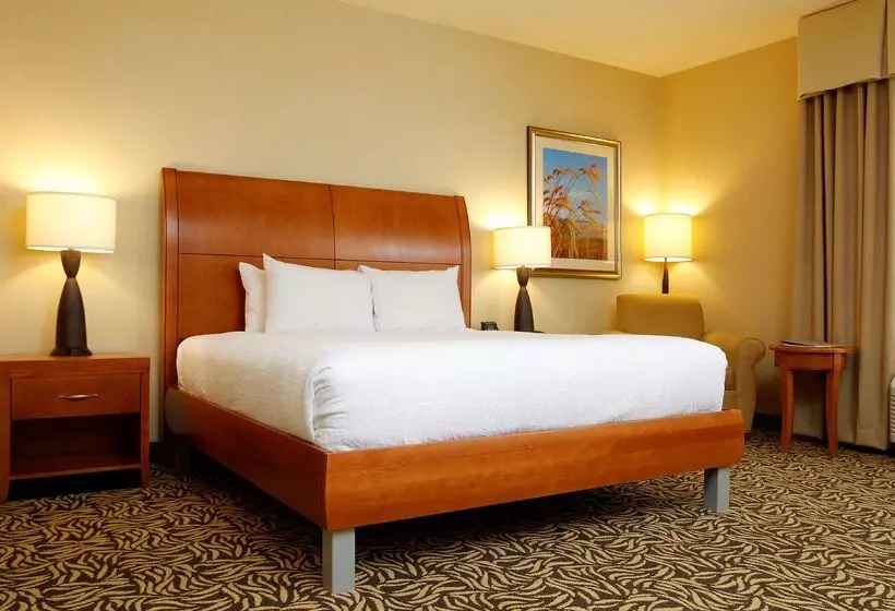 호텔 Hilton Garden Inn Cedar Falls