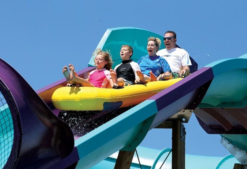 ホテル Hilton Garden Inn Cedar Falls