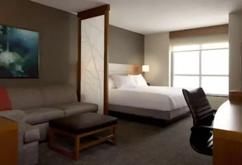 ホテル Hyatt Place Detroit/novi