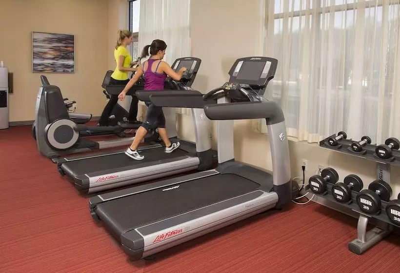 ホテル Hyatt Place Detroit/novi