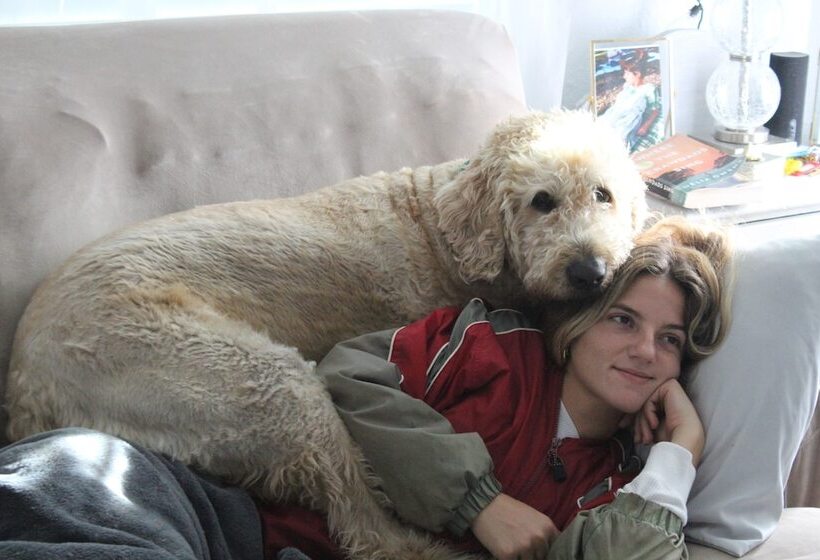 Lorelei Resort Motel