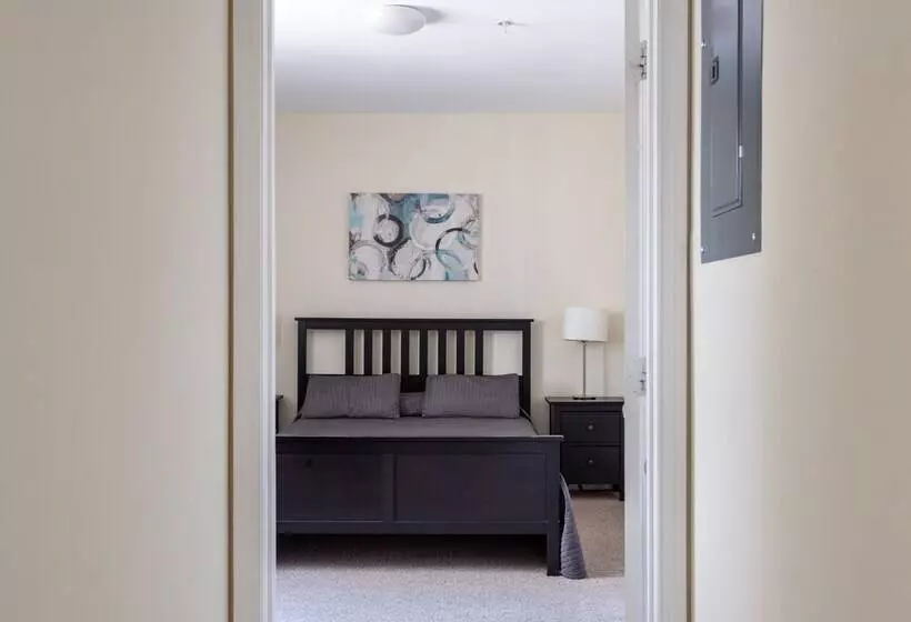Miami Coral Gables Apartment