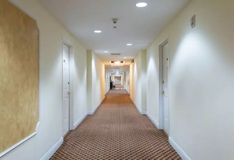 Miami Coral Gables Apartment