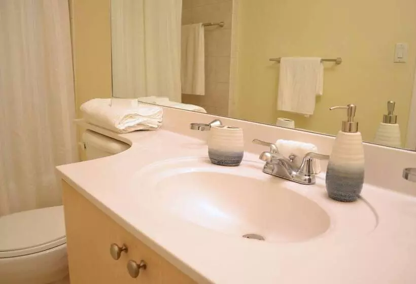 Miami Coral Gables Apartment