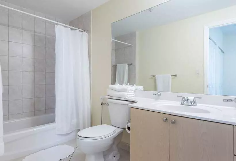 Miami Coral Gables Apartment