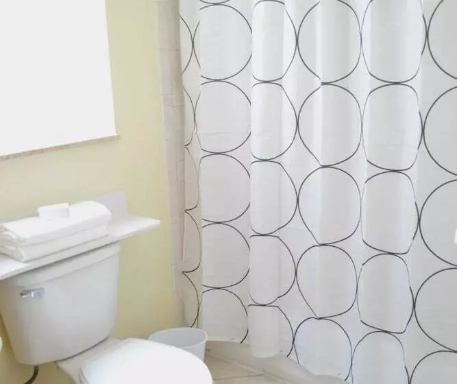 Miami Coral Gables Apartment