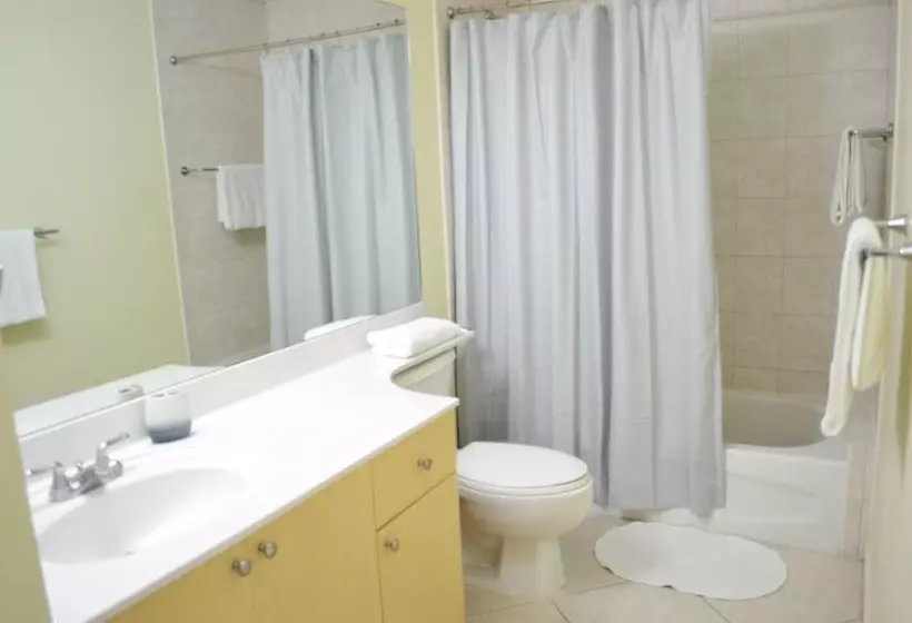 Miami Coral Gables Apartment