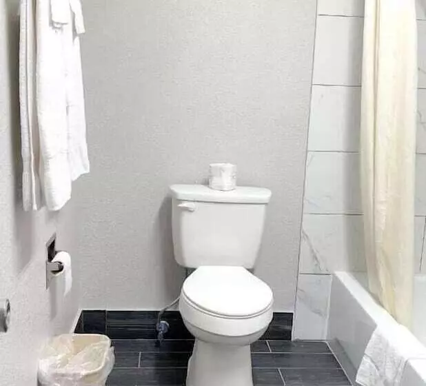 汽车旅馆 Regency Inn Bald Knob