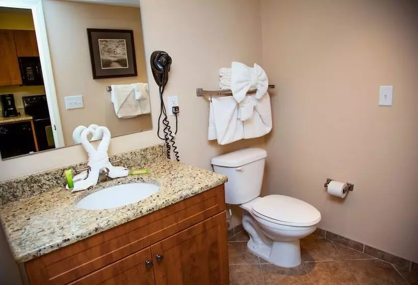 渡假胜地 Towers At North Myrtle Beach