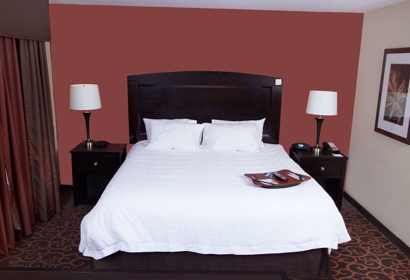 Hampton Inn & Suites Dickinson