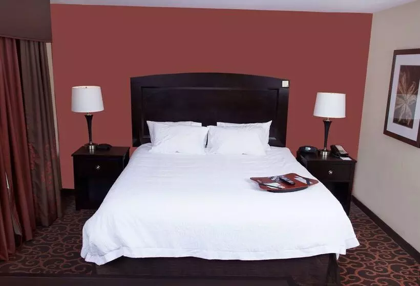 Hampton Inn & Suites Dickinson