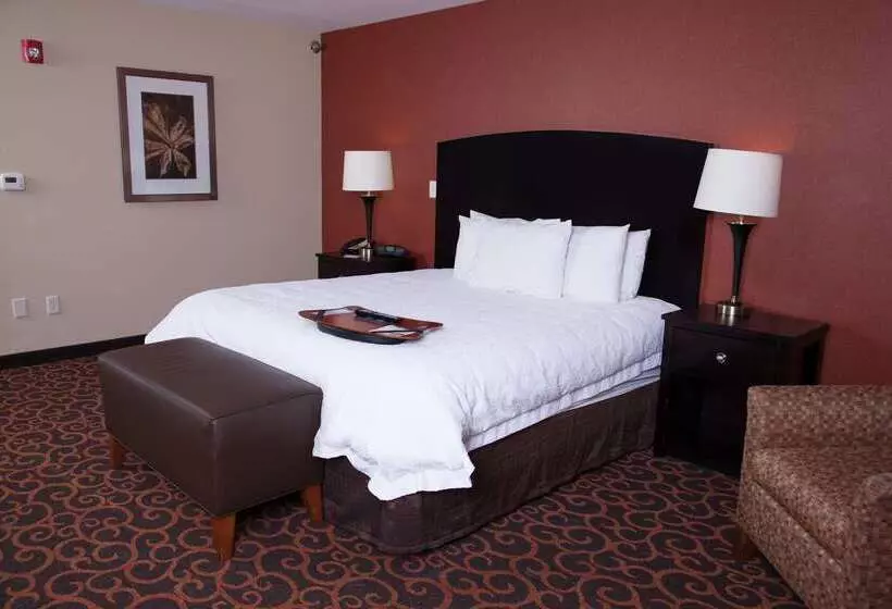 Hampton Inn & Suites Dickinson