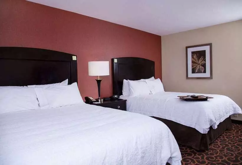 Hampton Inn & Suites Dickinson