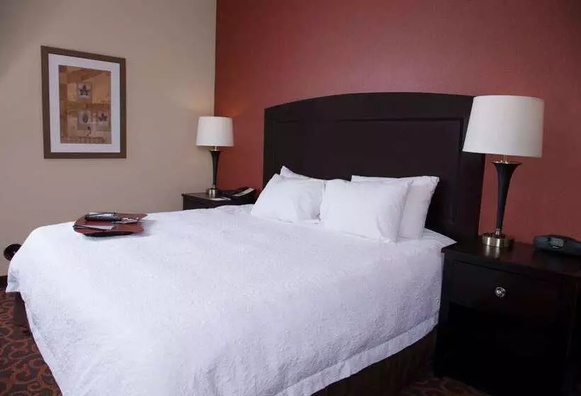 Hampton Inn & Suites Dickinson