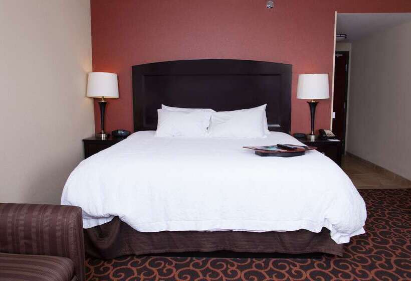 Hampton Inn & Suites Dickinson