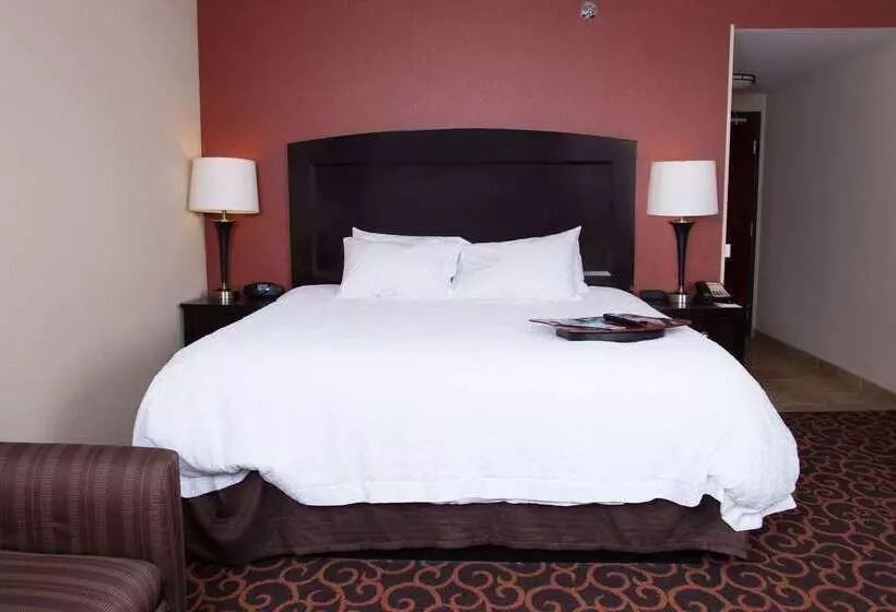Hampton Inn & Suites Dickinson