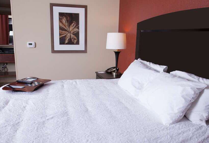 Hampton Inn & Suites Dickinson