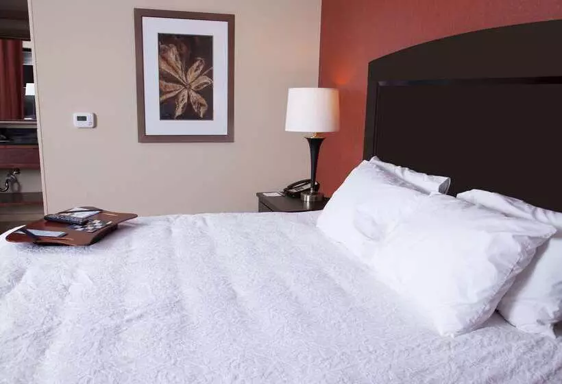 Hampton Inn & Suites Dickinson