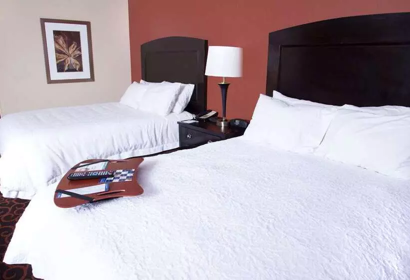 Hampton Inn & Suites Dickinson