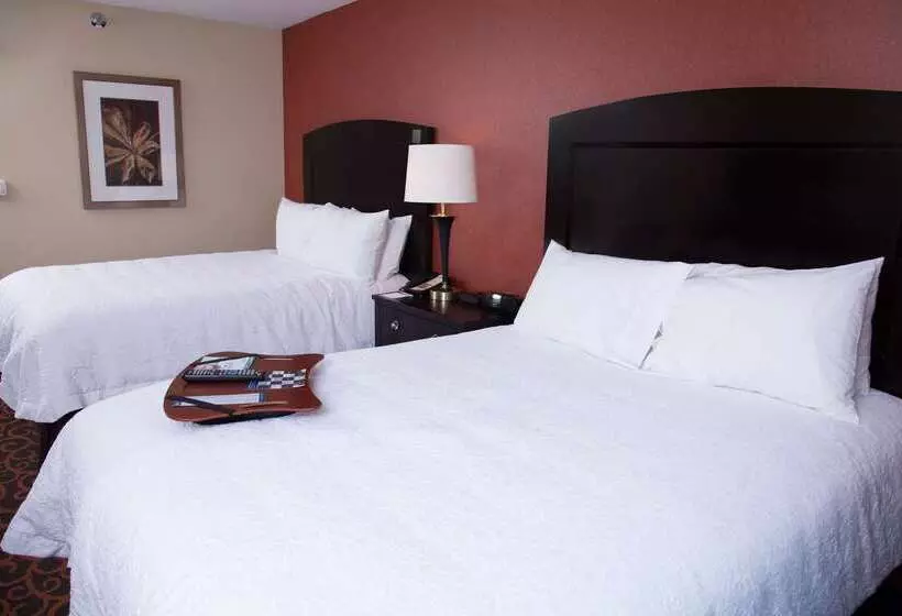 Hampton Inn & Suites Dickinson