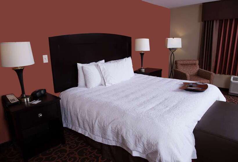 Hampton Inn & Suites Dickinson