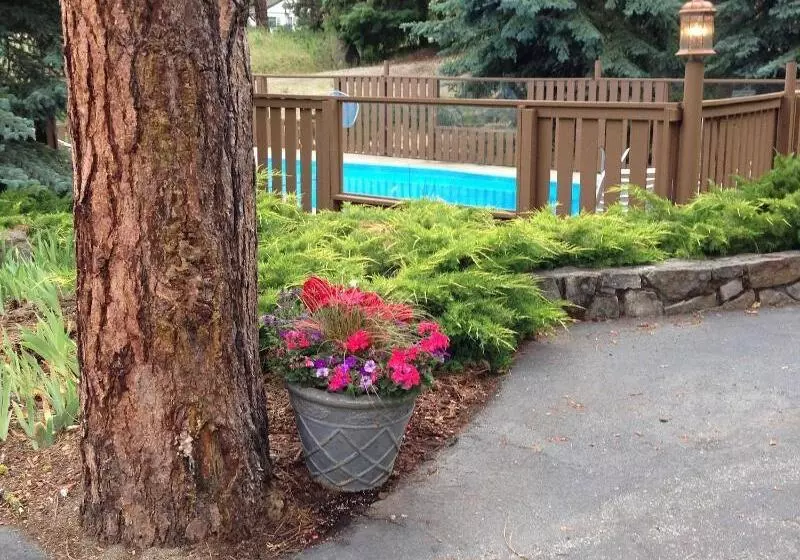 هتل Alpine Rivers Inn