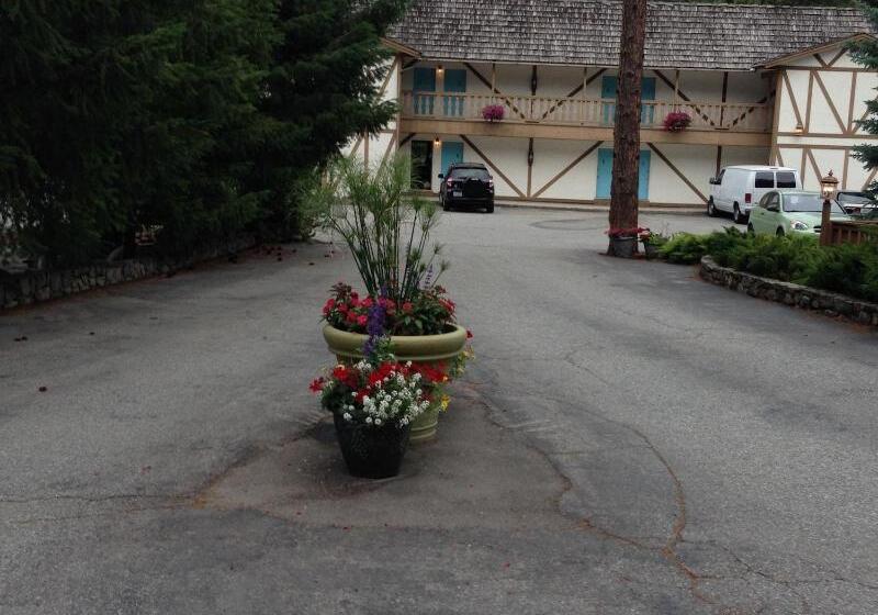 فندق Alpine Rivers Inn