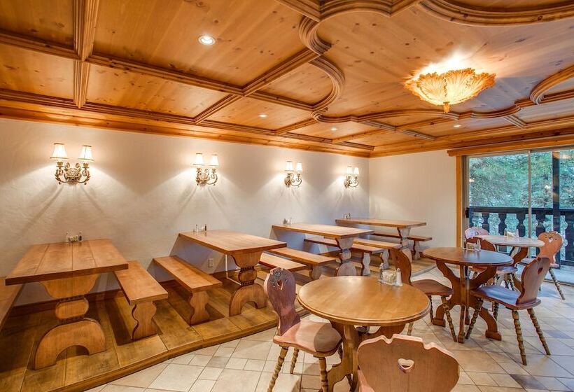 فندق Alpine Rivers Inn