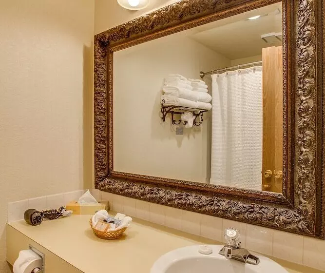 هتل Alpine Rivers Inn