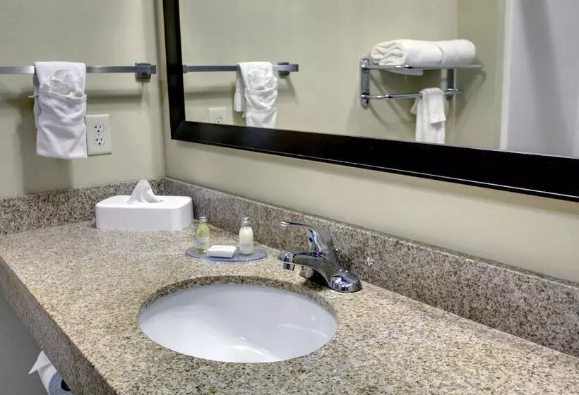 Cobblestone Hotel   Wayne