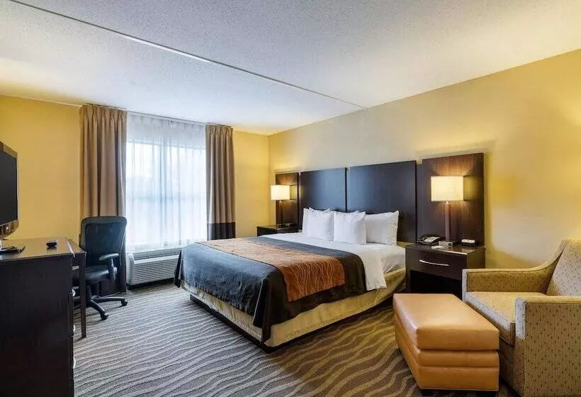 Отель Comfort Inn & Suites