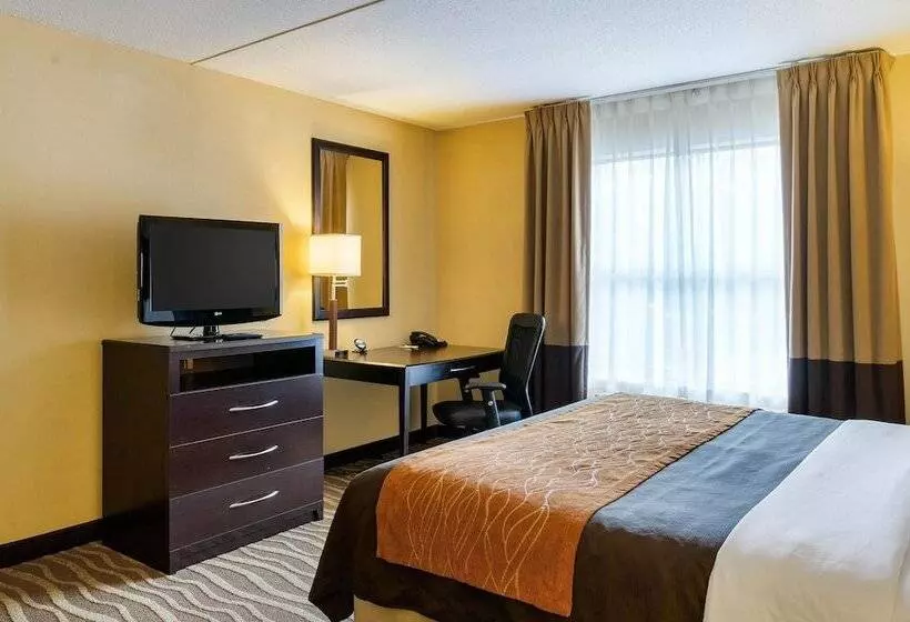 Отель Comfort Inn & Suites