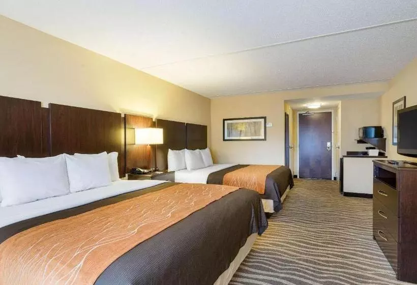 Отель Comfort Inn & Suites