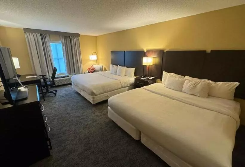 Отель Comfort Inn & Suites