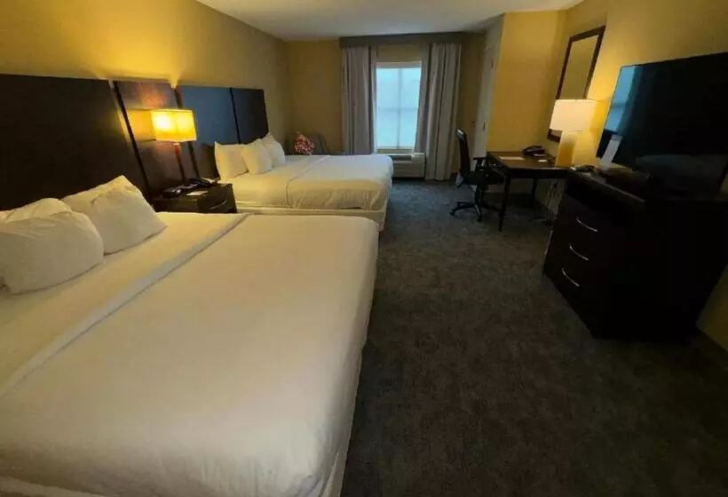 Отель Comfort Inn & Suites