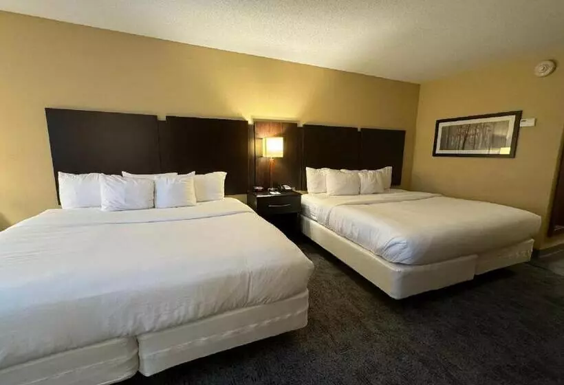 Отель Comfort Inn & Suites