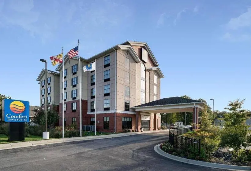 ホテル Comfort Inn & Suites Lexington Park Near Pax River