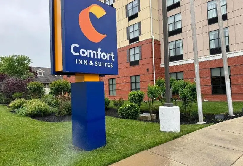 ホテル Comfort Inn & Suites Lexington Park Near Pax River