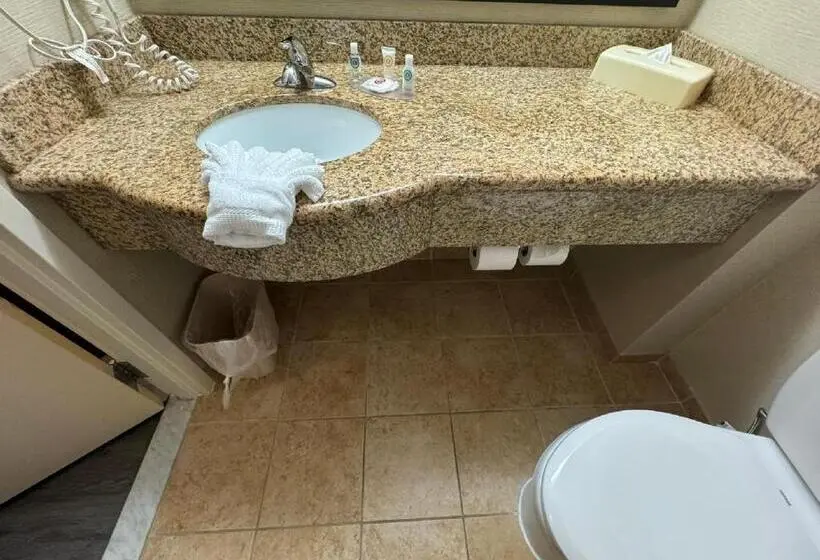 ホテル Comfort Inn & Suites Lexington Park Near Pax River