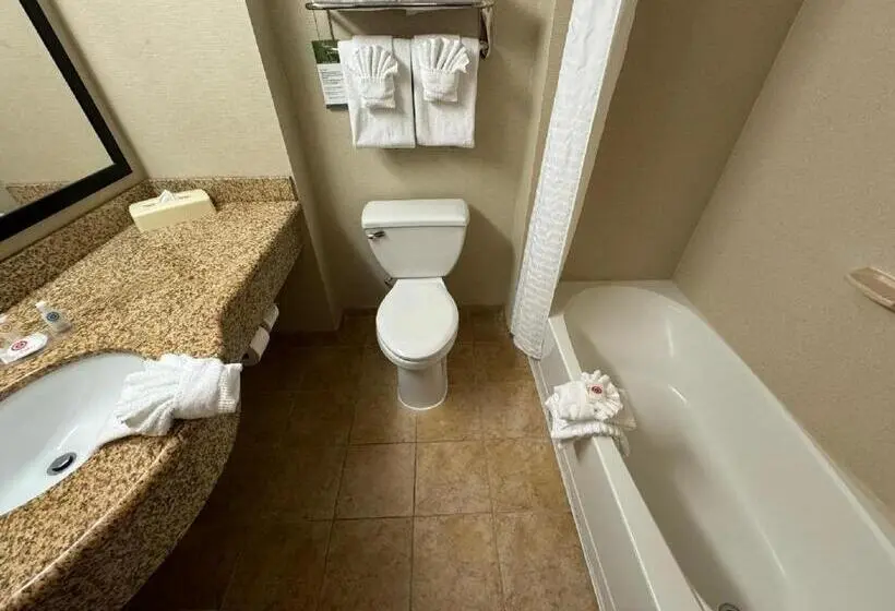 ホテル Comfort Inn & Suites Lexington Park Near Pax River
