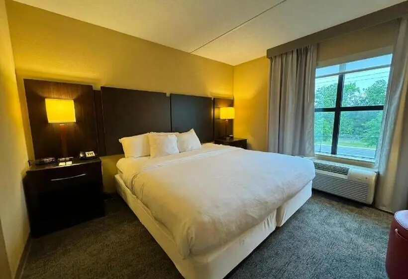 ホテル Comfort Inn & Suites Lexington Park Near Pax River